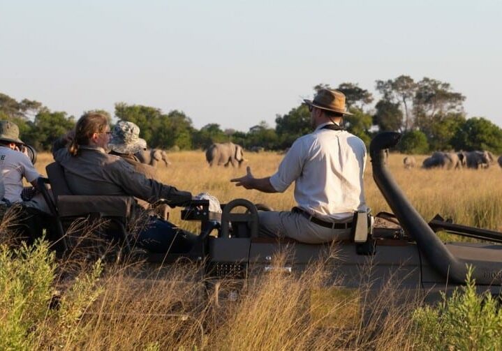 Golden-Africa-Safaris