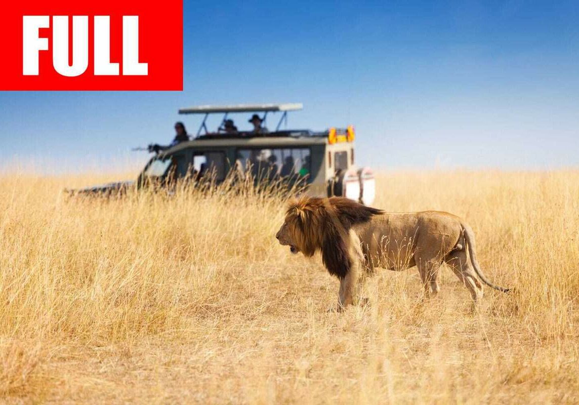 safari-destinations